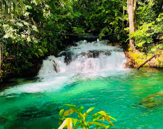 CACHOEIRA DO FORMIGA